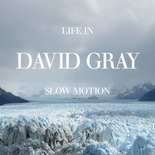 GRAY, DAVID - LIFE IN SLOW MOTIONGRAY, DAVID - LIFE IN SLOW MOTION.jpg